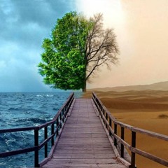 ايات النعيم والعذاب في دقيقتين  تلاوة مبكية للشيخ أحمد سعيد مندور من سورة ص -