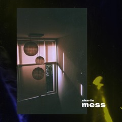 Mess