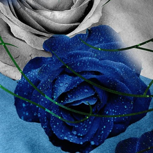 AGAR AGAR i am that guy / FRENCH 79 between the buttons Remix Blue Rose 09/12/2019