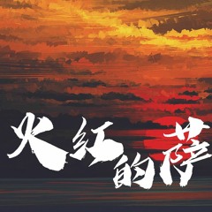 王小帅 - 火红的萨日朗【動態歌詞/Lyrics Video】
