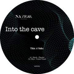 NZRV003 - Vinyl Only: Herck, Bryz, Sebastian Eric and Djosh "Into the Cave"  out - 30/01/2020