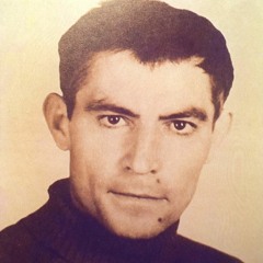 Василь Стус - Ти Що Казав?