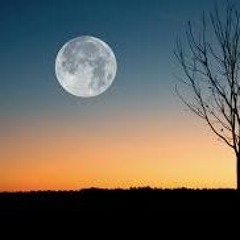 Moon of falling leaves (excerpt part I)