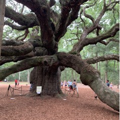 Why are you waiting?