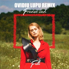 Feli - Frunze Cad ( Ovidiu Lupu Remix ) 2020