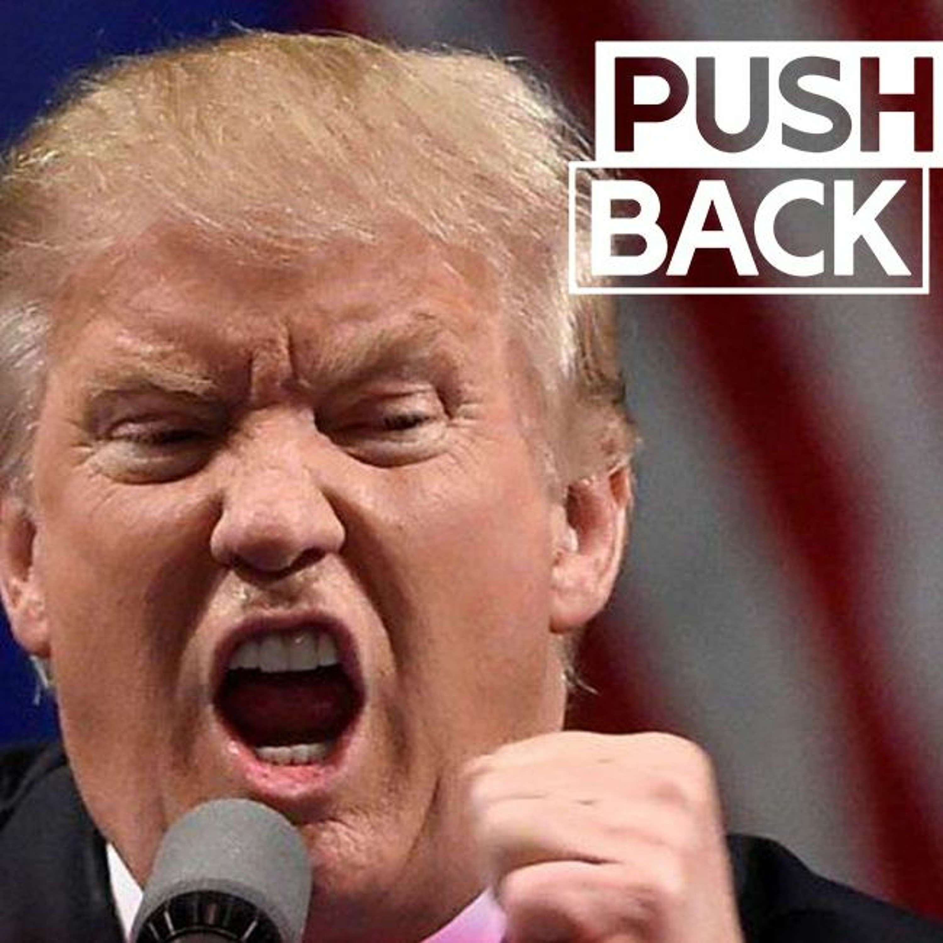 Pushback with Aaron Mate