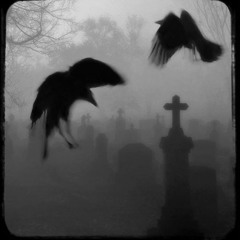 It wasnt me prod.eem triplin