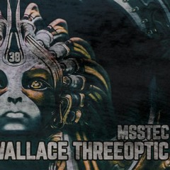 WALLACE THREEOPTIC - SELF DESTRUCTION #038 FNOOB 31-12-19