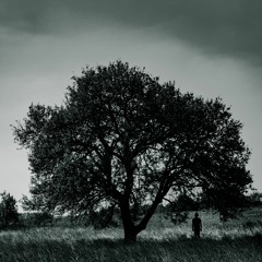 Fading Faces (Acoustic Demo / Instrumental)