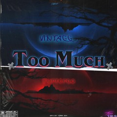 Too Much w/Funtendo  (Prod. Tarr 184)