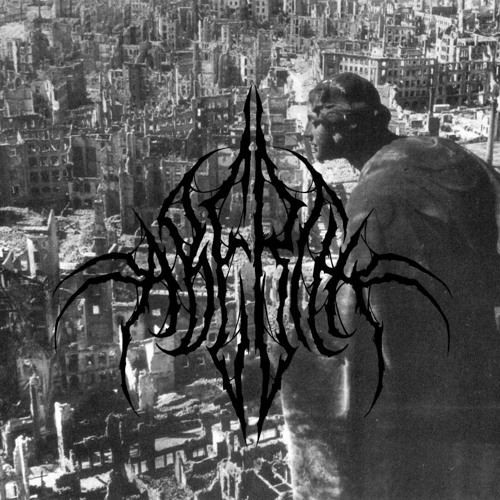 The Shadow Plague (2019 Black Metal)