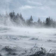 b l i z z a r d (ambient, piano)