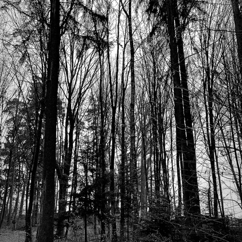 ZWEITAUSENDZWANZIG (Jan. 2020)