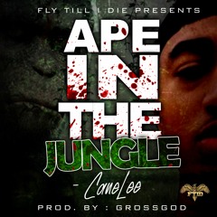 Ape In Da Jungle