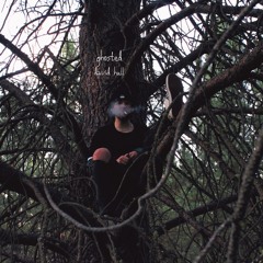 ghosted (prod. sketchmyname & vaegud)