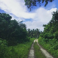 Faleo'o - Chrisjes Vaimoso (cover)