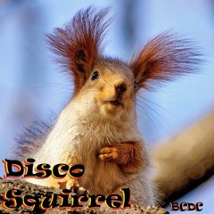 Disco Squirrel