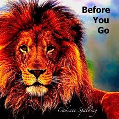 Before You Go