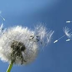 Còn Lại Chút Tình Người Mà Thôi - Mix By Bố Thăng Ken