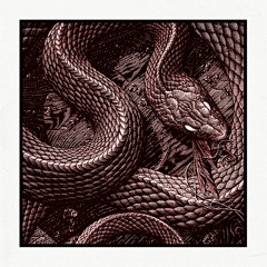 Serpent (Original Mix) FREE DOWNLOAD