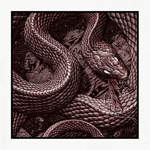 Serpent (Original Mix) FREE DOWNLOAD