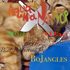 AquamanXNamor- BudXMao prod by BoJangles