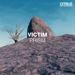 Victim - Prism OUT NOW
