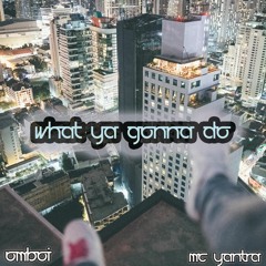 What Ya Gonna Do [ft. MC Yantra] (** check out my new project Krstos **)