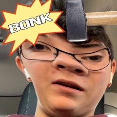 CEO of Knowing What to and Not What to Say