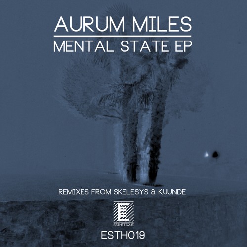 PRÈMIÉRE: Aurum Miles - Don't touch my synths (Original mix) [ESTHÉTIQUE]