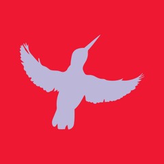 Hold On Dub (Anti Bypass)