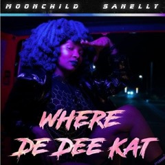 Moonchild Sanelly - WHERE DE DEE KAT? (instrumental) ZALVF & kLap