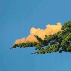 07.at Least We Tried,somehow