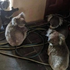 Eastside Avenue - AK Edit (Kettama)