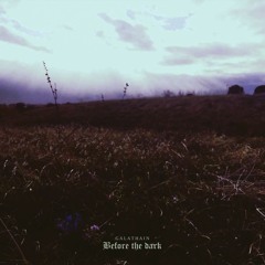 Before The Dark