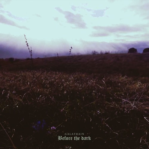 Before The Dark