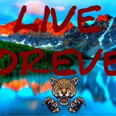 Liam Payne- Live Forever Remix