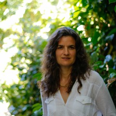 Traveler (Towed By The Moon album)