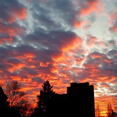 Segeln (Live - Demo)