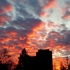 Diving (Live - Demo)