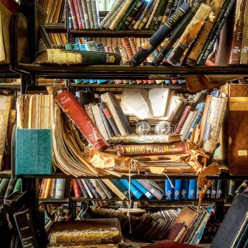 "Self Taught" - Day 5