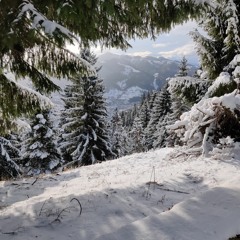 Cristian Gramesc - Invierno Porteño (Winter) - Astor Piazzolla