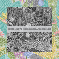 Bruce Leroys - Liberdade (Dapeace Remix)|FREE DOWNLOAD|