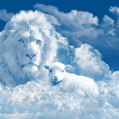 Why Faith Is Not Enough:  The Power of Practice - Soul Talk