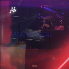 Budroooo - Top Floor