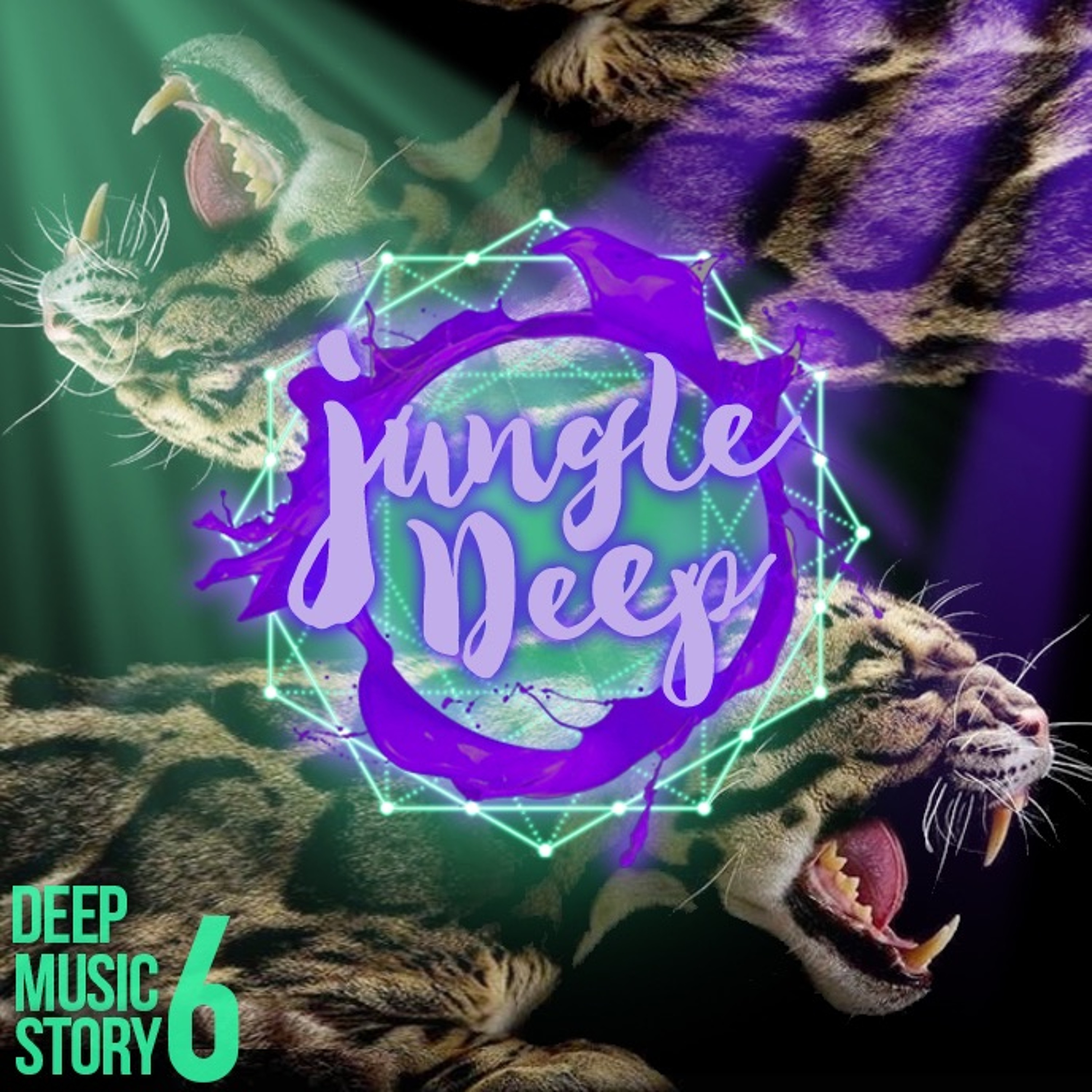 Deep Music Story