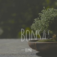 Bonsai [Jamuary 5th 2020]