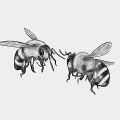 Tryn Not To Flex - Gaara X Lito Senpai