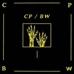 CP/BW - LP2 (snippets)
