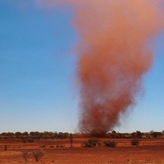 Scarlett Dust Devil